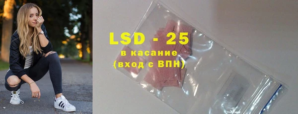 твердый Новодвинск