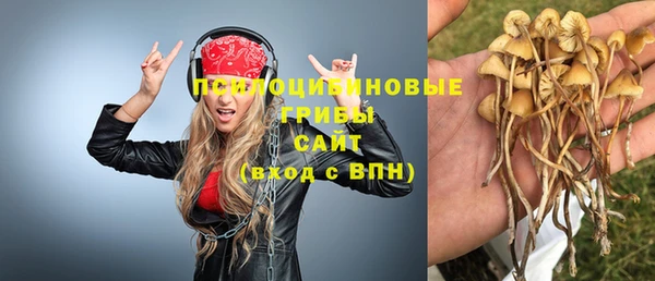 ГАЛЛЮЦИНОГЕННЫЕ ГРИБЫ Богородицк