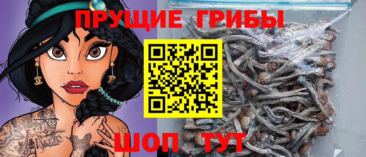 Псилоцибиновые грибы прущие грибы  Вход с VPN  Муравленко  Галлюциногенные грибы MAGIC MUSHROOMS 