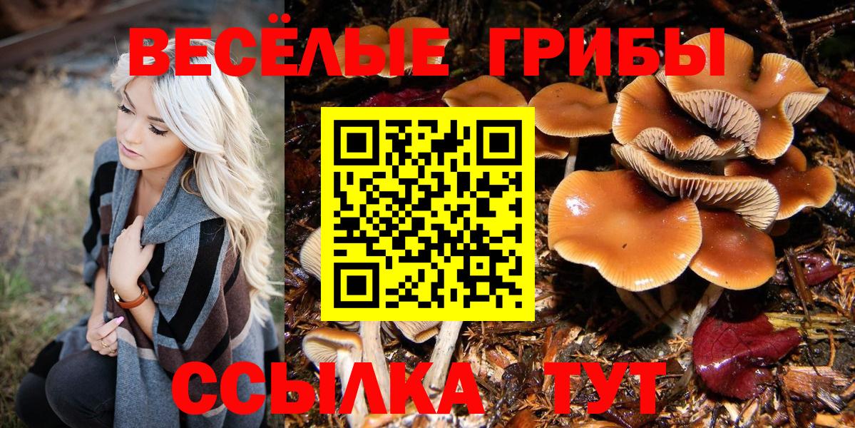 Галлюциногенные грибы Magic Shrooms Муравленко
